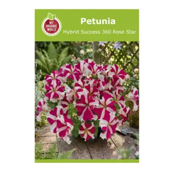 Petunia Hybrid Success 360 Rose Star Seeds