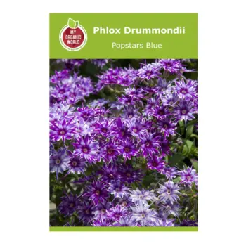 Phlox Drummondii Popstars Blue Seeds