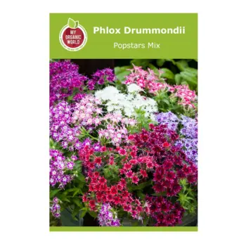 Phlox Drummondii Popstars Mix Seeds