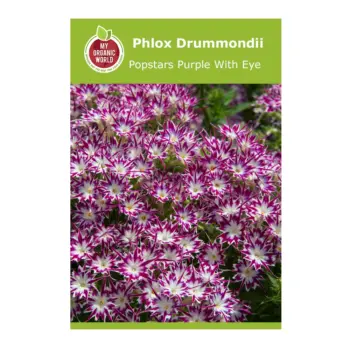 Phlox Drummondii Popstars Purple with Eye Seeds