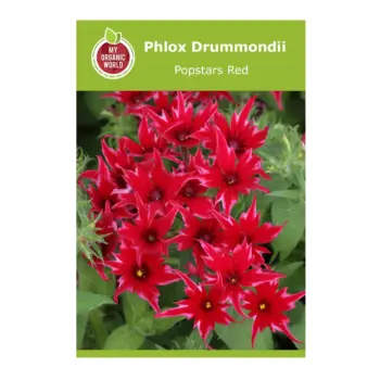 Phlox Drummondii Popstars Red Seeds