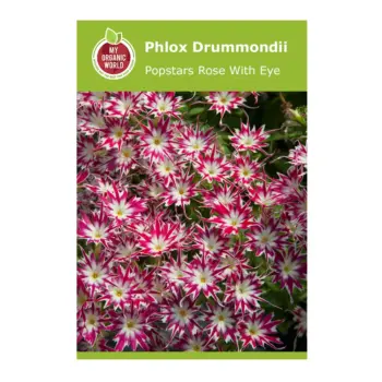 Phlox Drummondii Popstars Rose with Eye Seeds