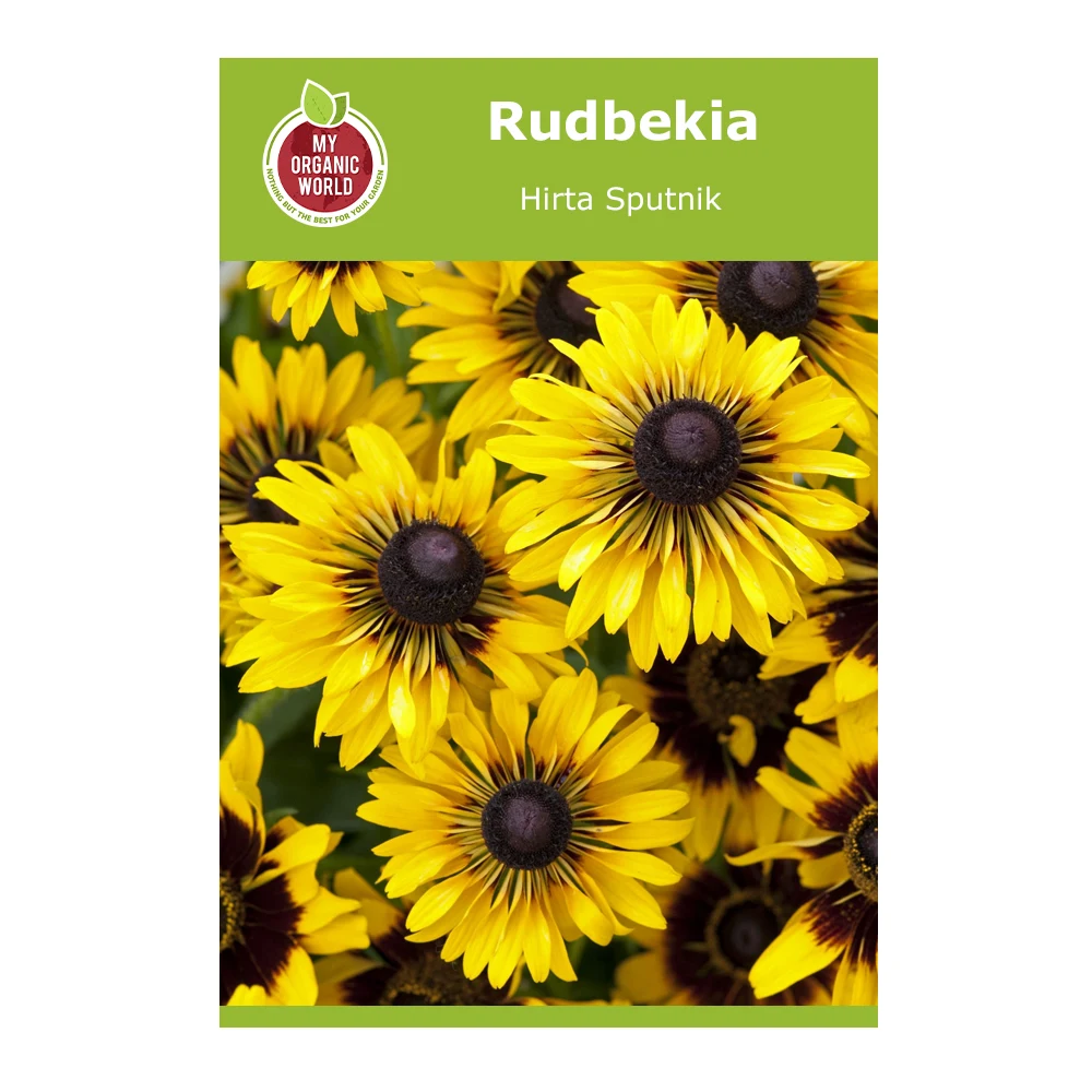 Rudbekia Hirta Sputnik
