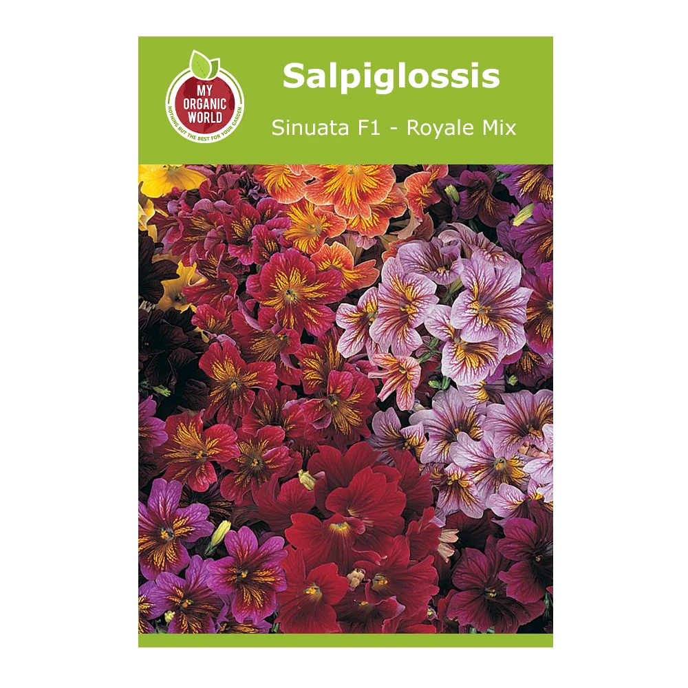 Salpiglossis Sinuata F1 Royale Mix 1 Salpiglossis Sinuata F1 Royale Mix