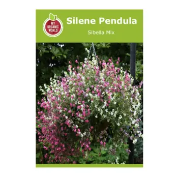 Silene Pendula Sibella Mix Seeds