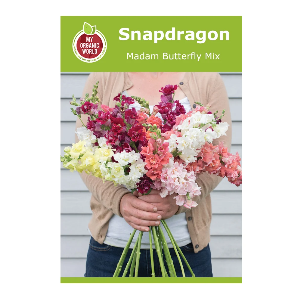 Snapdragon Madam Butterfly Mix