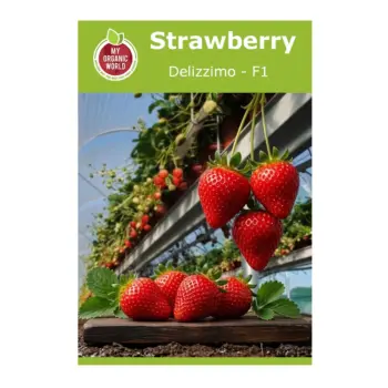 Strawberry Delizzimo F1 Seeds