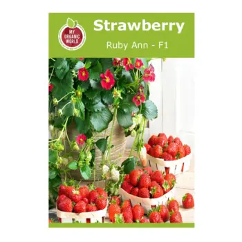 Strawberry Ruby Ann F1 Seeds