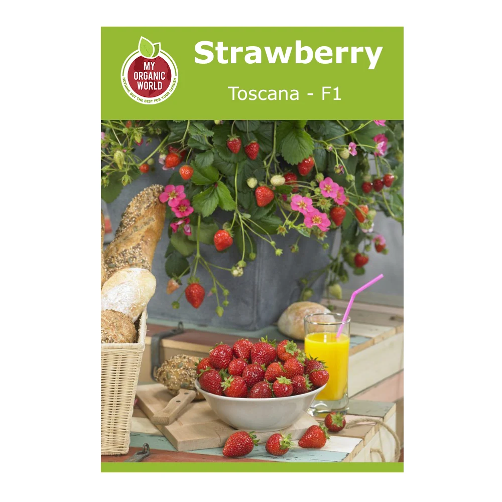 Strawberry Toscana F1