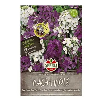 Sweet Rocket Hesperis Matronalis Seeds