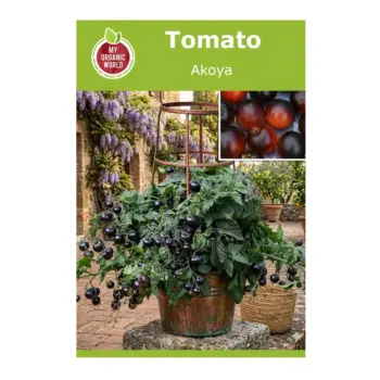 Tomato Akoya Seeds