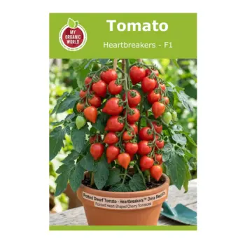 Tomato Heartbreakers F1 Seeds