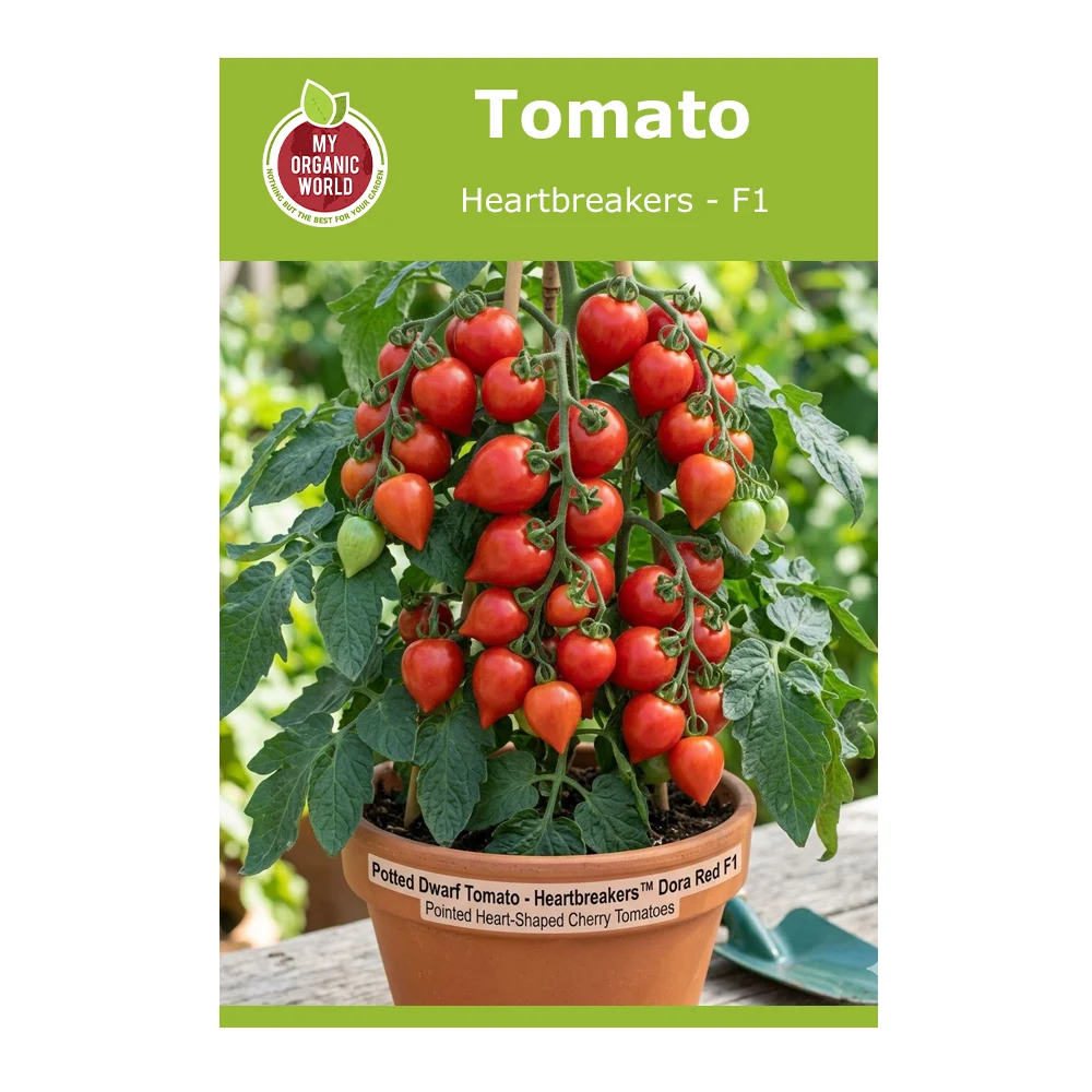 Tomato Heartbreakers F1