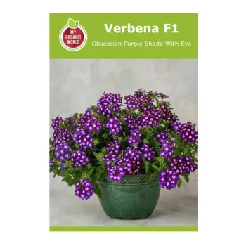 Verbena F1 Obsession Purple Shade With Eye Seeds