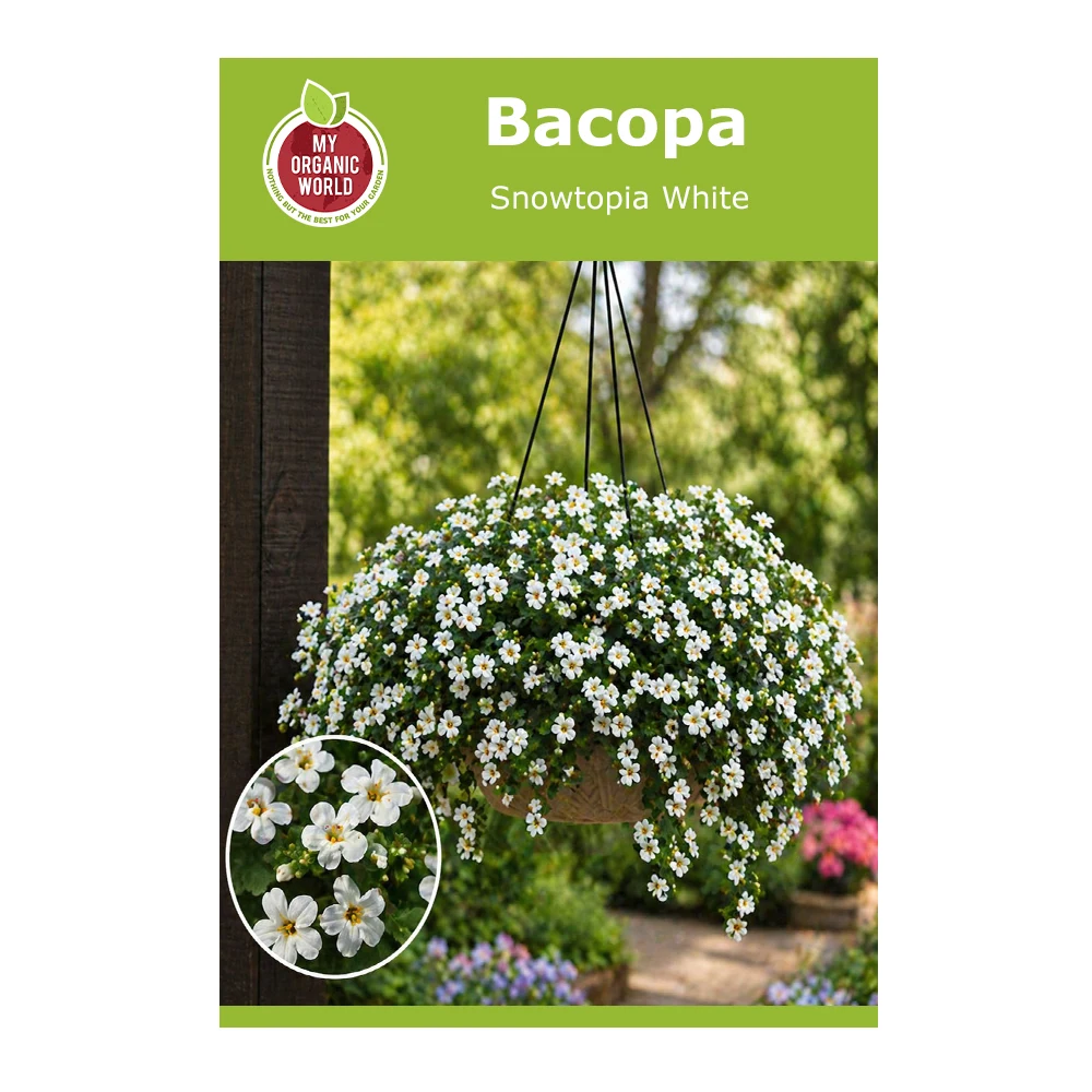 Bacopa Snowtopia 1 Bacopa Snowtopia White