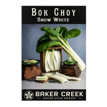 Bok Choy Snow White Seeds