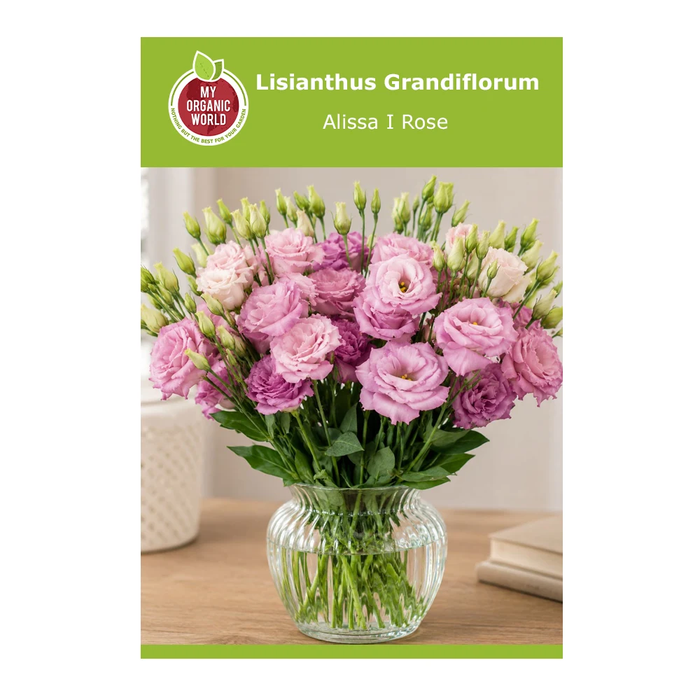 Lisianthus Grandiflorum Alissa I Rose