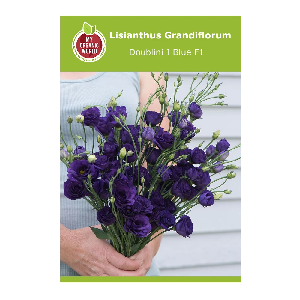 lisianthus Grandiflorum Doublini I Blue F1 1 Lisianthus Grandiflorum Doublini I Blue F1