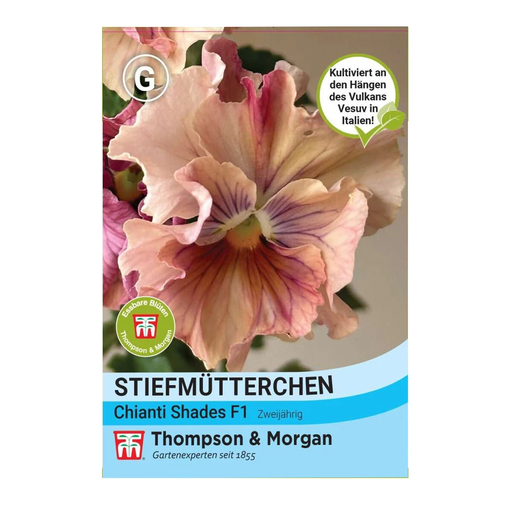 Pansy Chianti Shades F1 1 Pansy Chianti Shades F1