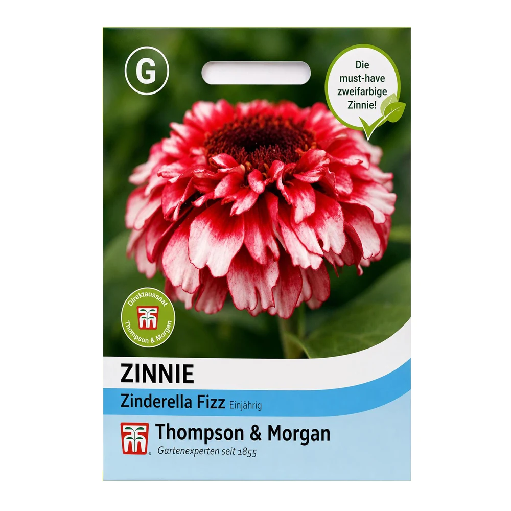Zinnia Zinderella Fizz