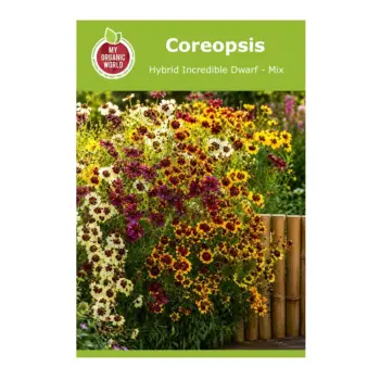 Coreopsis Hybrid Incredible Dwarf-Mix Seeds