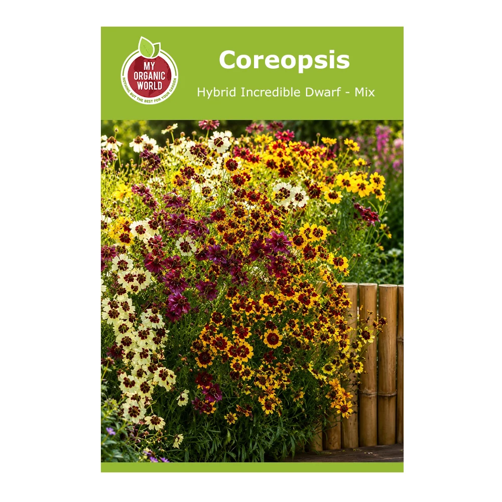 Coreopsis Hybrid Incredible Dwarf-Mix 1 Coreopsis Hybrid Incredible Dwarf-Mix
