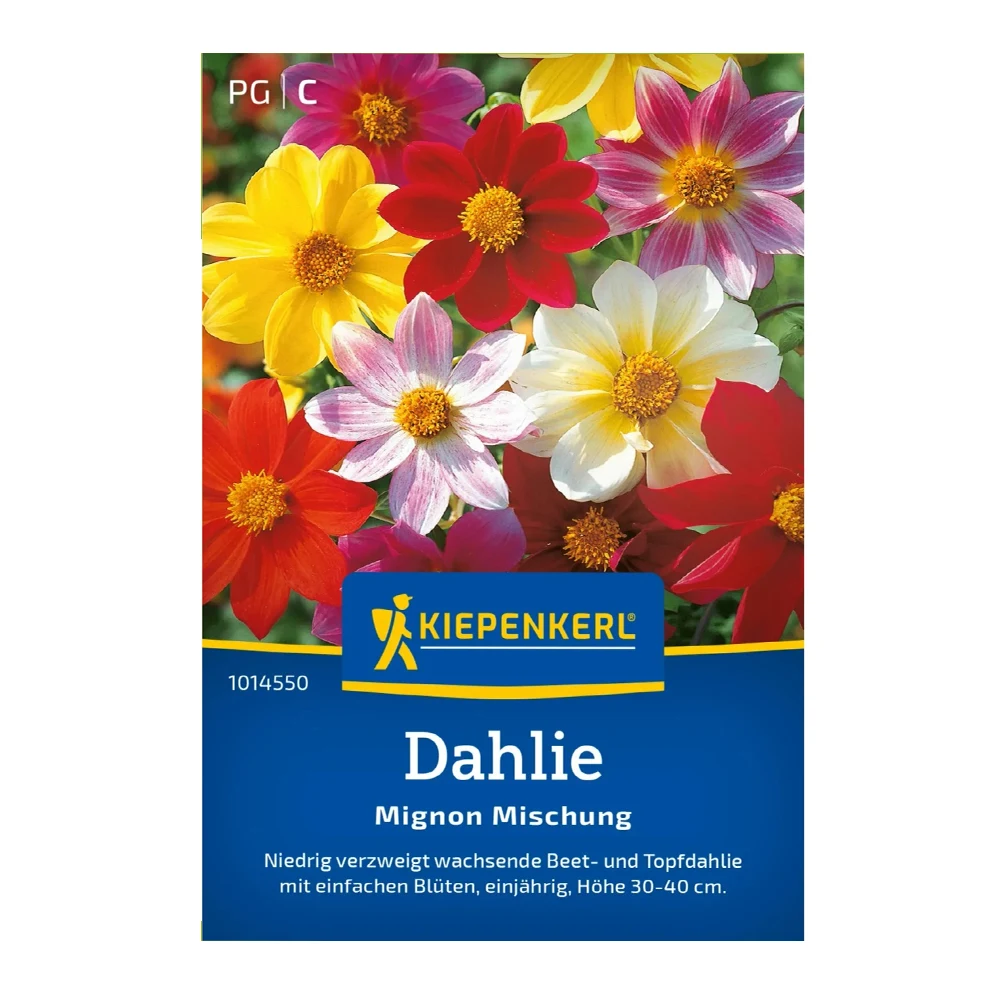 Dahlia Mignon Mix 1 Dahlia Mignon Mix