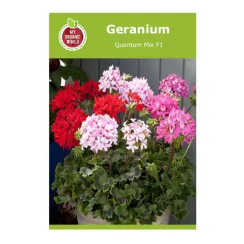 Geranium Quantum Mix F1 Seeds