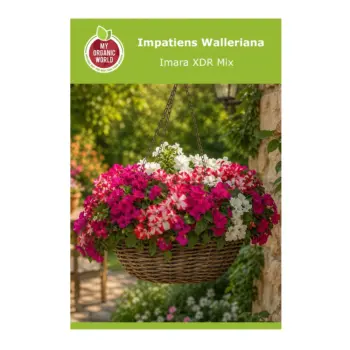 Impatiens Walleriana Imara XDR Mix Seeds