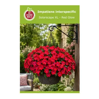 Impatiens Interspecific Solarscape XL - Red Glow Seeds