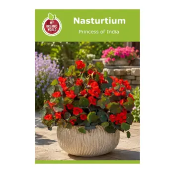 Nasturtium Princess of India Seeds