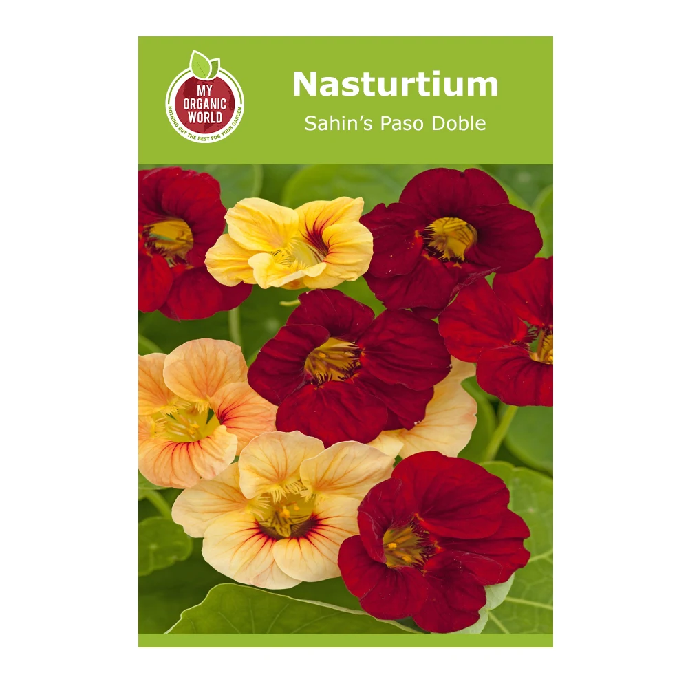 Nasturtium Sahin’s Paso Doble Seeds