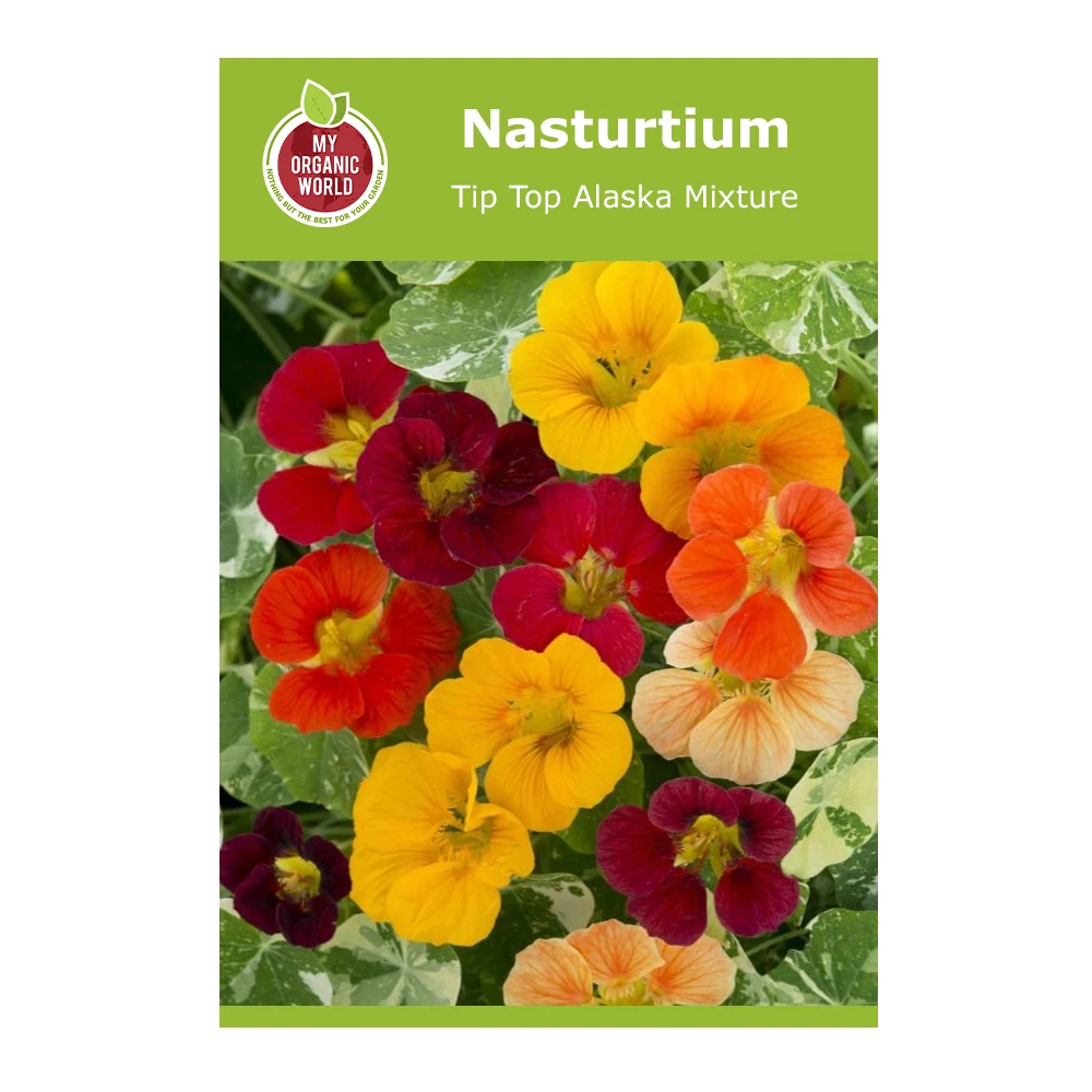 Nasturtium Tip Top Alaska Mixture Seeds
