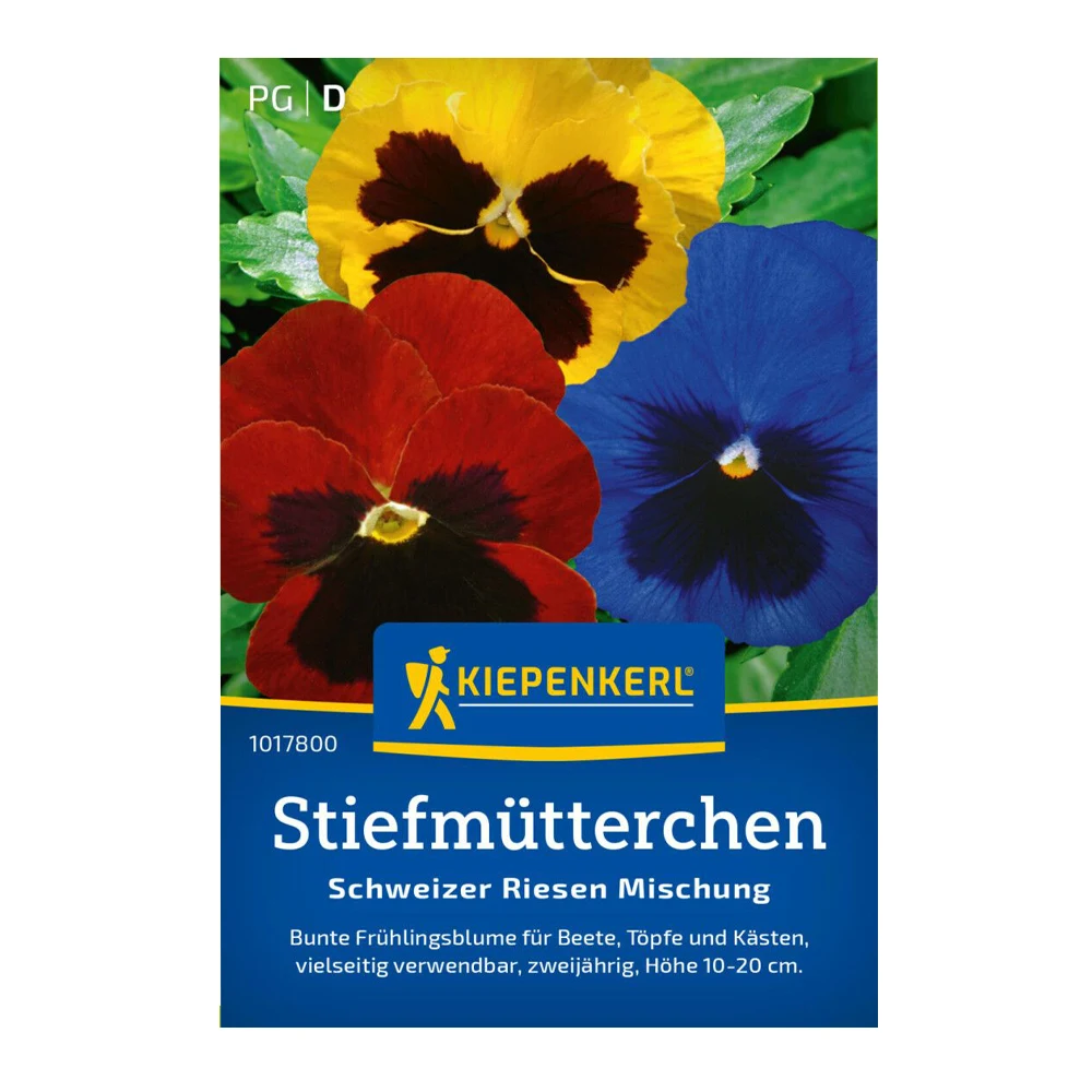 Pansy Swiss Giant