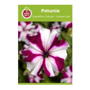 Petunia Grandiflora Tritunia Crimson Star Seeds