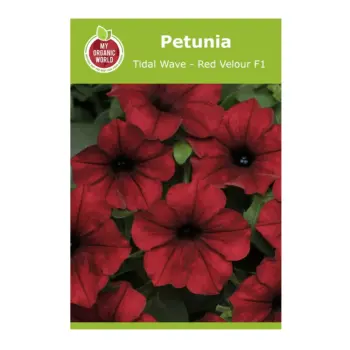 Petunia Tidal Wave Red Velour F1 Seeds