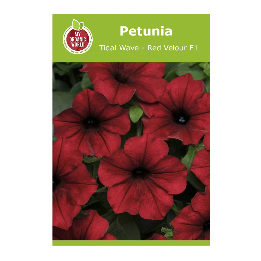 Petunia Tidal Wave Red Velour F1