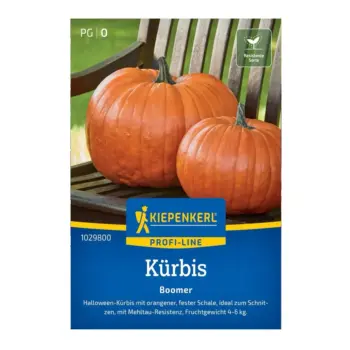 Pumpkin Boomer Seeds
