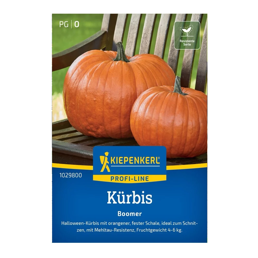 Pumpkin Boomer Seeds