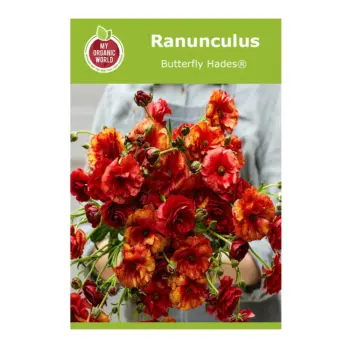Ranunculus Butterfly Hades® Bulbs