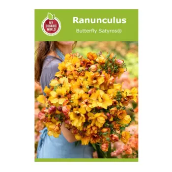 Ranunculus Butterfly Satyros® Bulbs