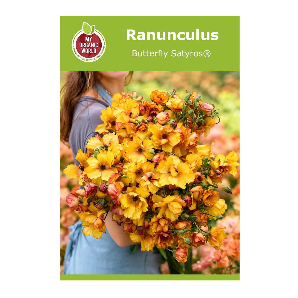 Ranunculus Butterfly Satyros® Bulbs