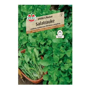Rocket Salad Seeds