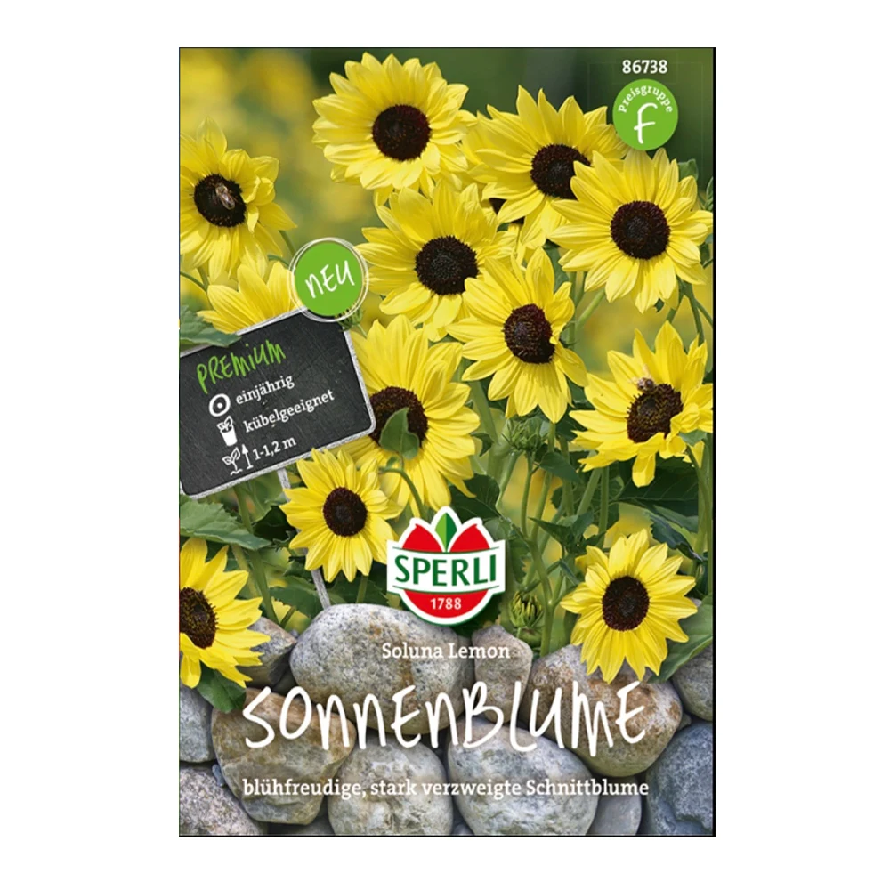 Sunflower Soluna Lemon 1 Sunflower Soluna Lemon
