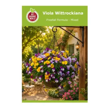 Viola Wittrockiana Freefall Formula-Mixed Seeds