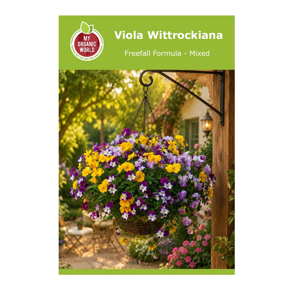 Viola Wittrockiana Freefall Formula-Mixed