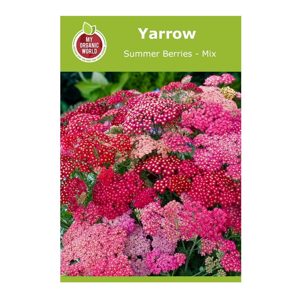 Yarrow Summer Berries Mix