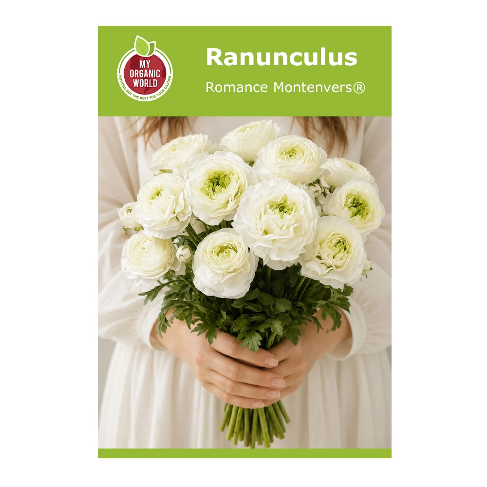 Ranunculus Romance Montenvers®