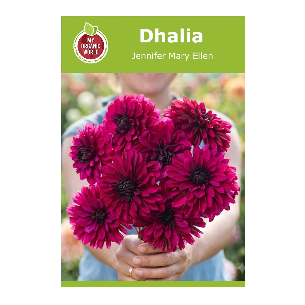 Dahlia Jennifer Mary Ellen