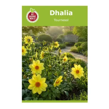 Dahlia Tournesol